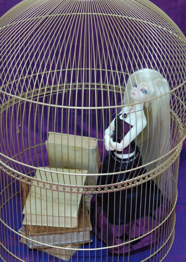[MNF woosoo girl] poupée en cage  p.1 Dsc_0716