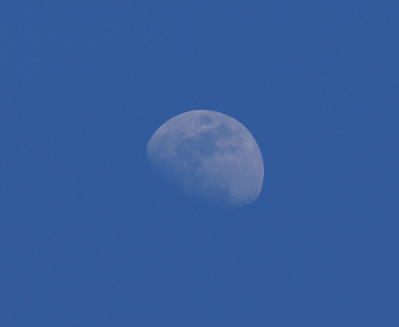 Pleine Lune du 04.05.15 21:33 LE WESAC (marseille) Lune_210