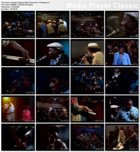 Muddy Waters w. Bloomfield & Friends - Blues Summit In Chicago (1974) 74_blu10