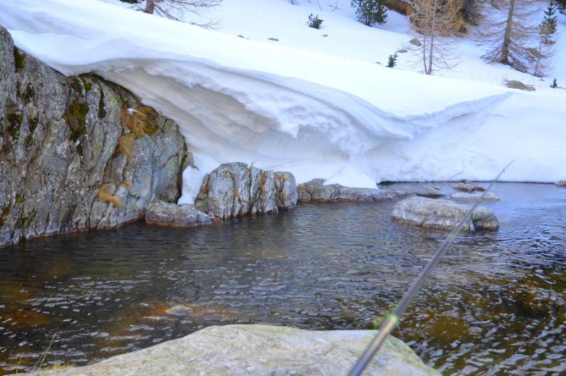 Dernière sortie peche au toc le 25 mars 2015 K800_d11