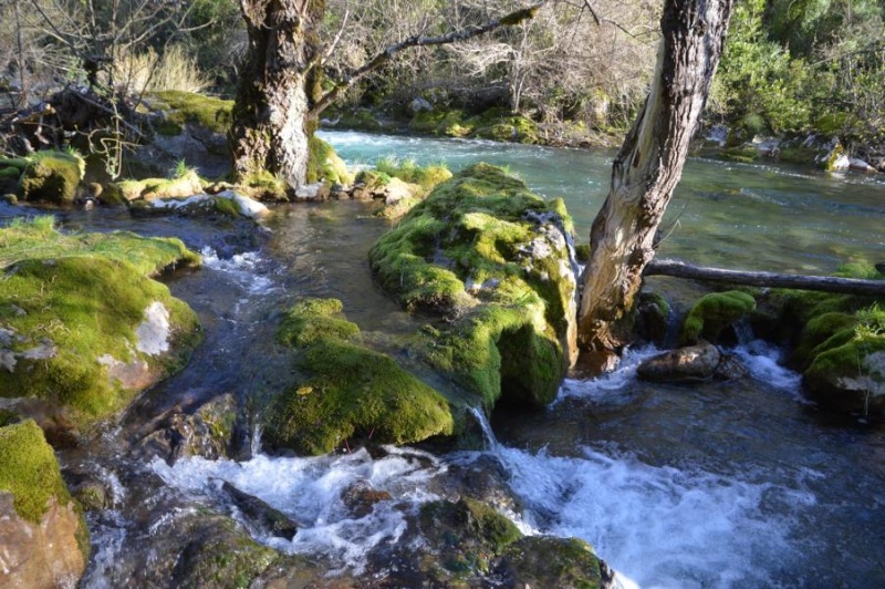 Là où coule une rivière le 10 avril 2015 K800_d21