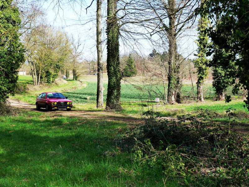 concours photo du mois de mars 2015 le VOTE 7_alfa10
