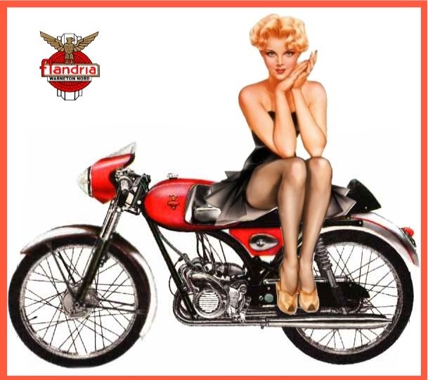 Pin-Up 50cc Pinup_10