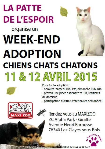 Week-end ADOPTIONS les 11 et 12 avril 2015, MAXIZOO, Les Clayes-sous-Bois (78) 2015-025