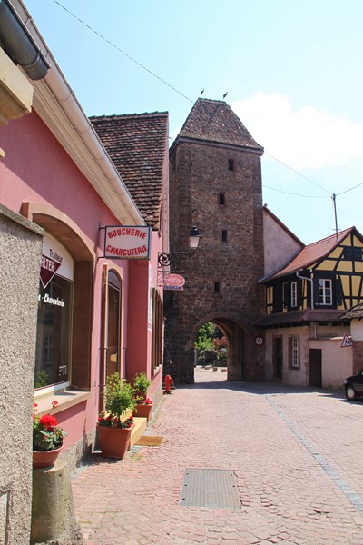 Wangen, en mai 2015 Img_6519