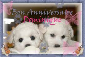 Bon Anniversaire Dominique Bon Anniversaire Dominique
