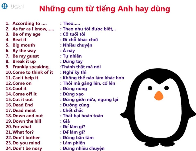 Học tiếng Anh bằng hình ảnh - Page 5 10628210