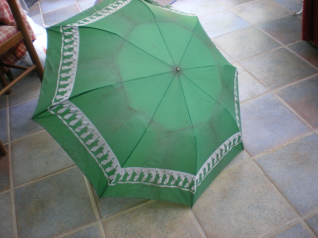Sujet photo du 12 08  : un parapluie Imgp0234