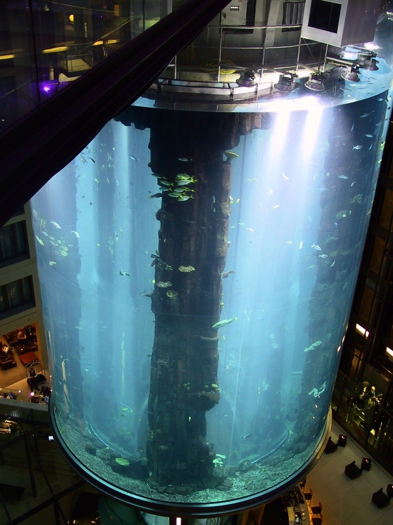 Les grands Aquariums Sealif10