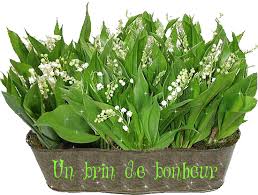 Quizz du muguet et 1er mai  Index_15