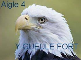 bonjour moi c'est aigle-4 38031510