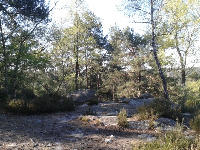 Rando du 19 avril 2015 Les Rochers d'Angennes 20150429