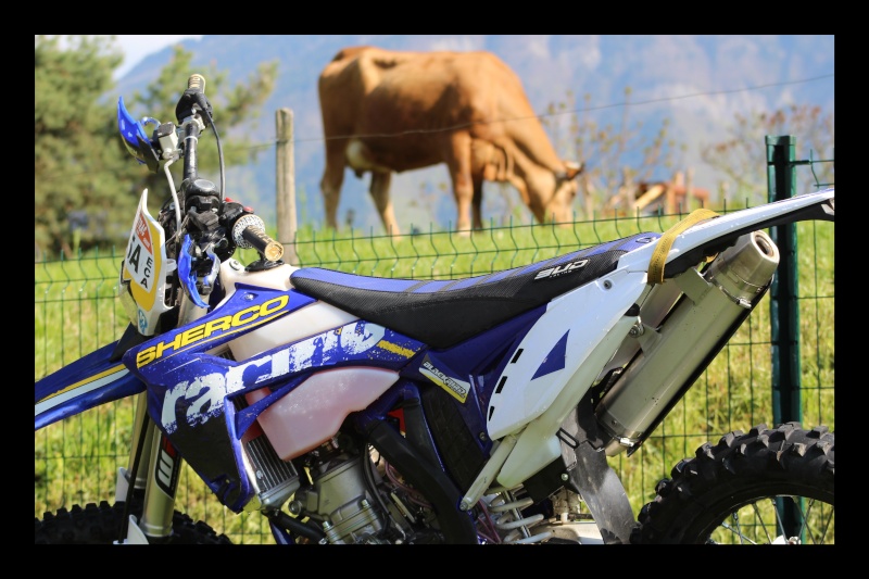 sherco - Sherco 2T 2015 Sherco10