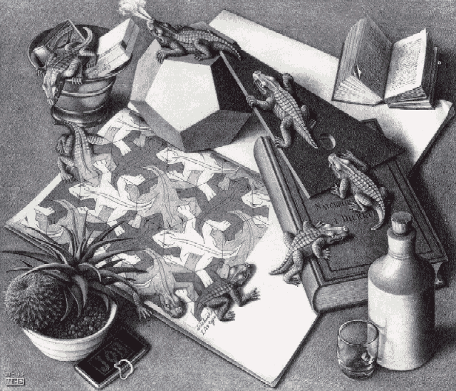 Illusions et travaux d'Escher Illusi11