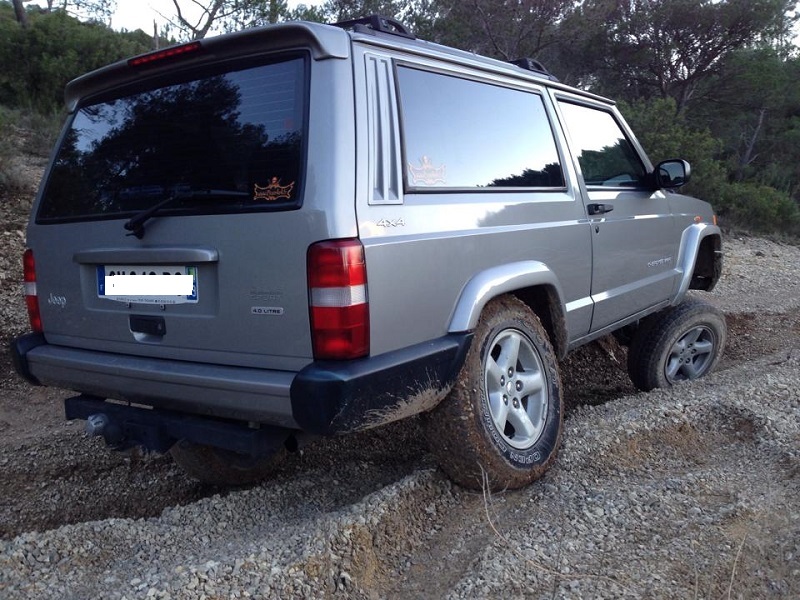 Mon wild sport 10954010