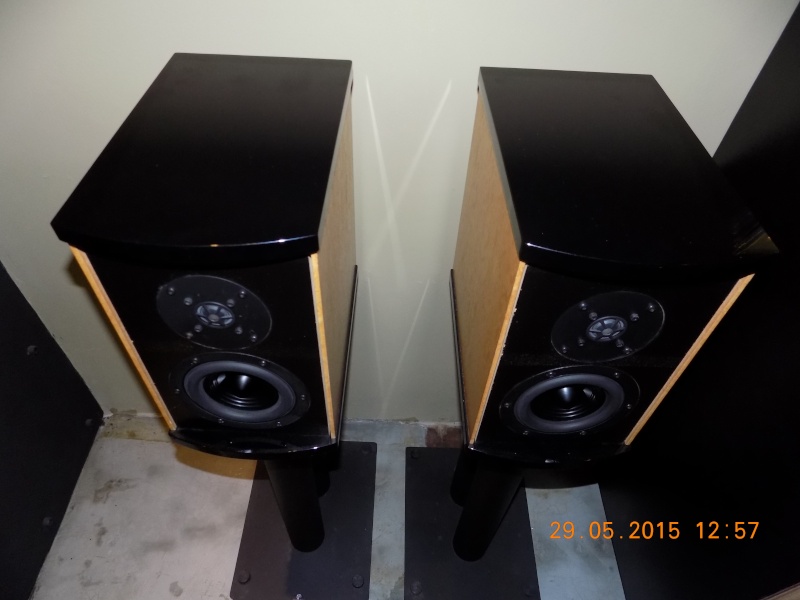 Platinum solo speakers Dscn1710