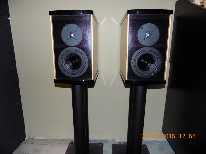 Platinum solo speakers Dscn1712