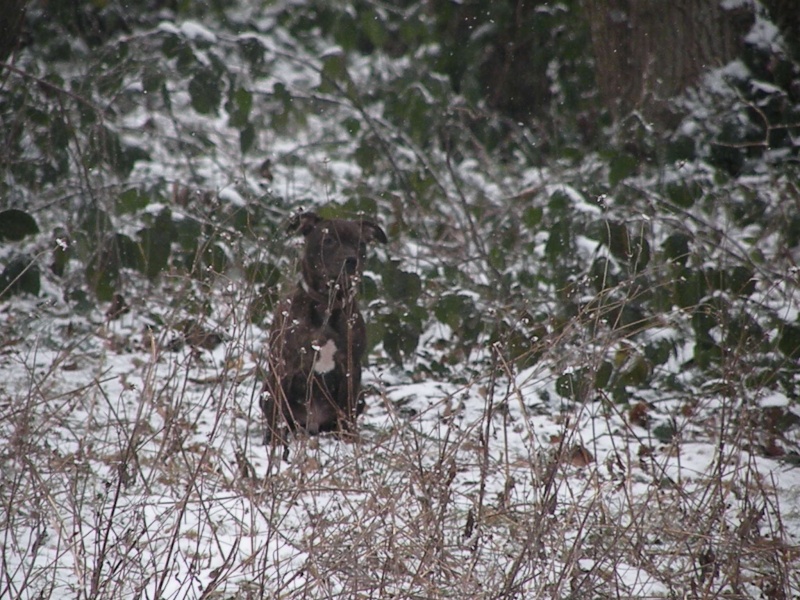 Neige, neige encore de la neiiiiiiiiiiiiiiiiigeuuuuuuuuuuuuuuuuuu ! Eikooa25