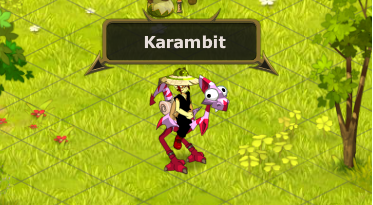 Candidature Karambit Karamb10