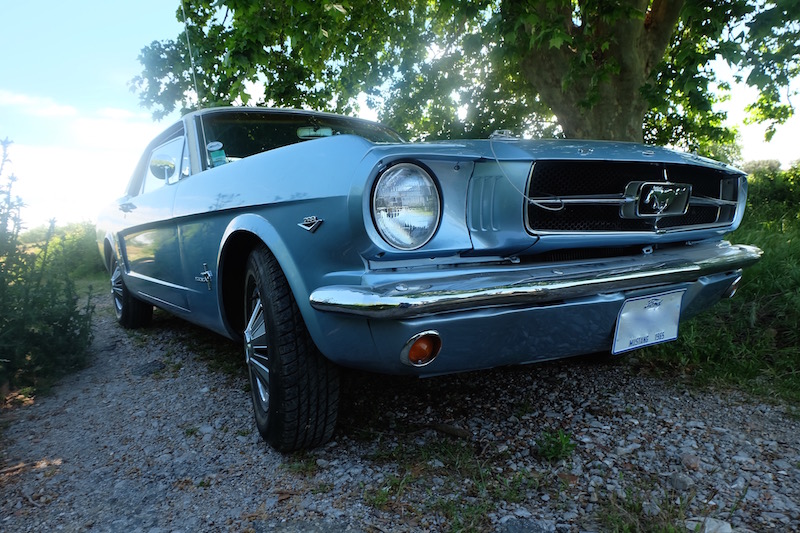 Mustang 1965 Hard Top  - Page 4 Dscf0411