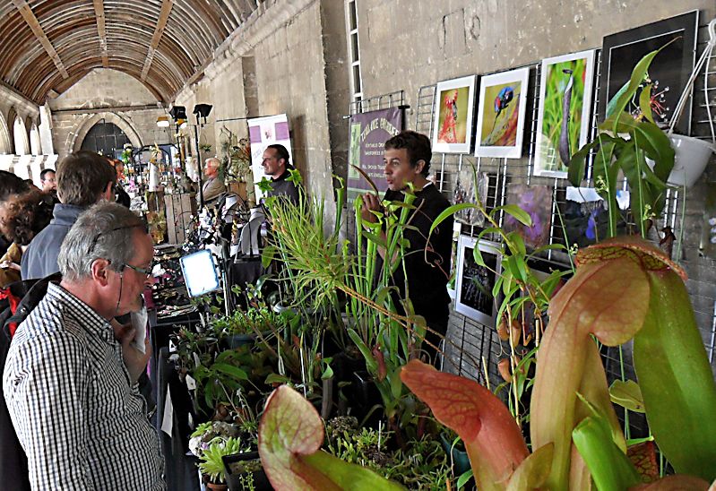 exposition du 14/05/15 au 17/05/15 à l'abbaye du Moncel (Oise) Moncel25