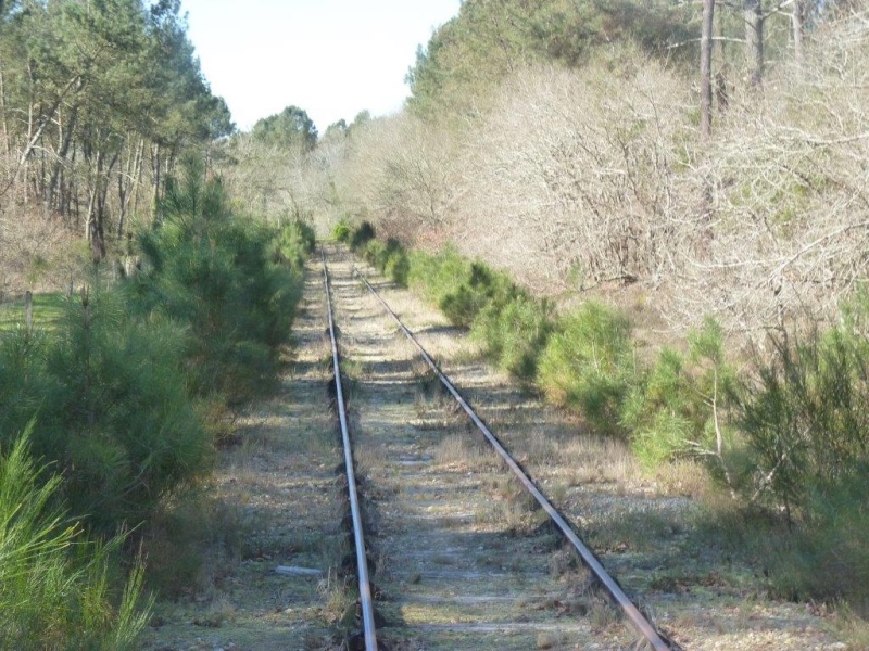 Le Train de l'Albret sur les rails ? - Page 2 31p12710