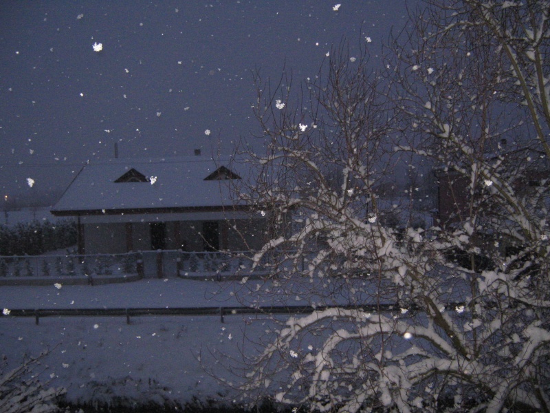 padova neve 19 dicembre 2009 Img_1217