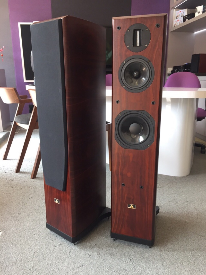 aurum cantus speakers (USED) SOLD  Img-2011