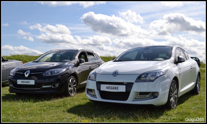 [Guigui265] Megane 3 coupé gt-line ! Modif P5 - Page 6 Dsc_0111