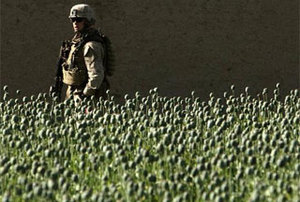 Les USA, la Grande Bretagne et le Canada participent au trafic de drogue en Afghanistan 18188210
