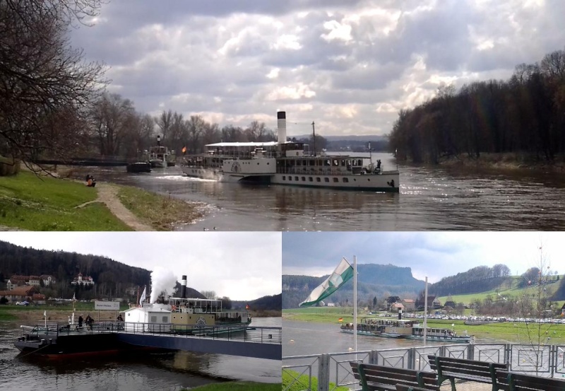 Neues auf der Elbe - bei der Sächs. Dampfschiffahrt in Dresden - Seite 8 Ost1510