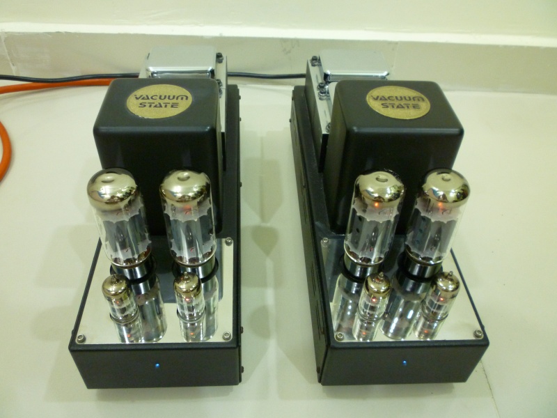 tube power amp monoblock vse pp1e (SOLD) Vse_pp11