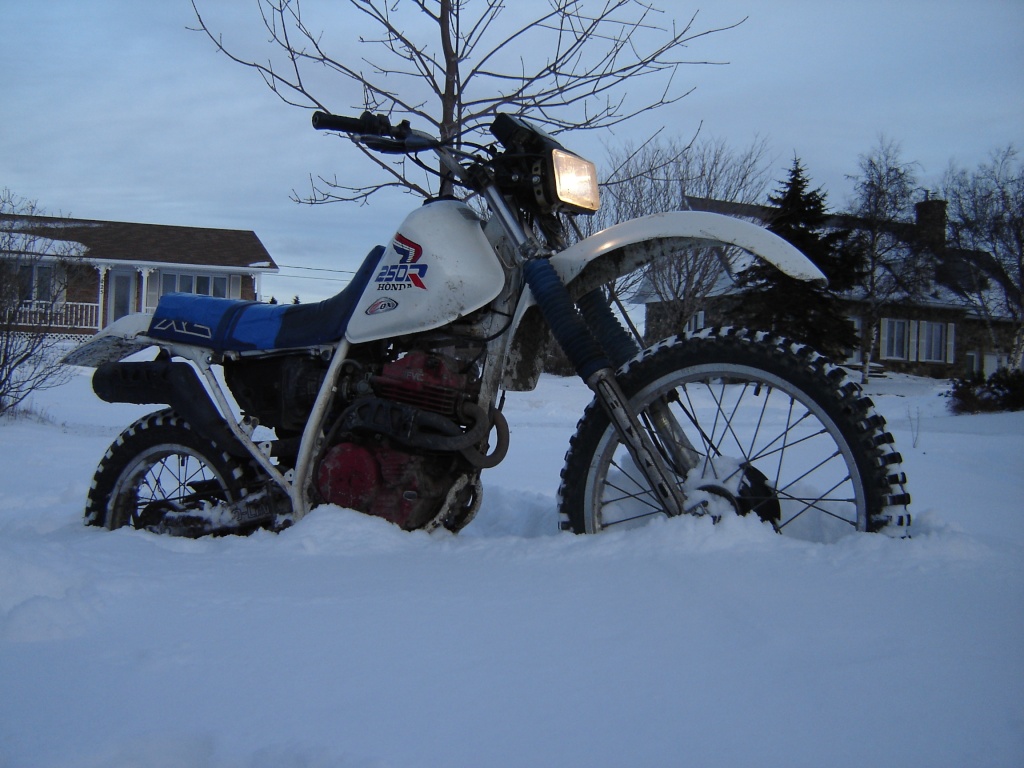 concours photo (janv 2010)votre timono et la neige Dsc03015