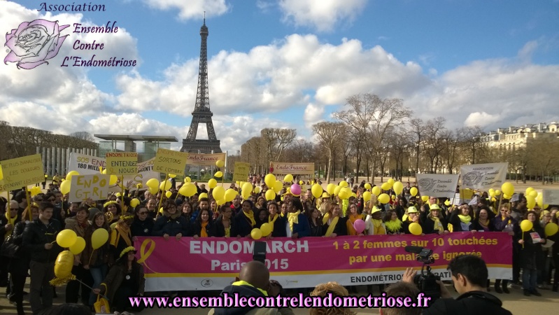 MARCHE CONTRE L'ENDOMETRIOSE - PARIS  - 28.03.15 Marche10