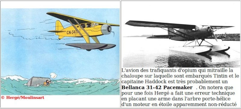 TERMINE / Arado 196 A-3 version "Tintin" - 1/32 - Kit Revell 04688 - Page 4 Bellan10