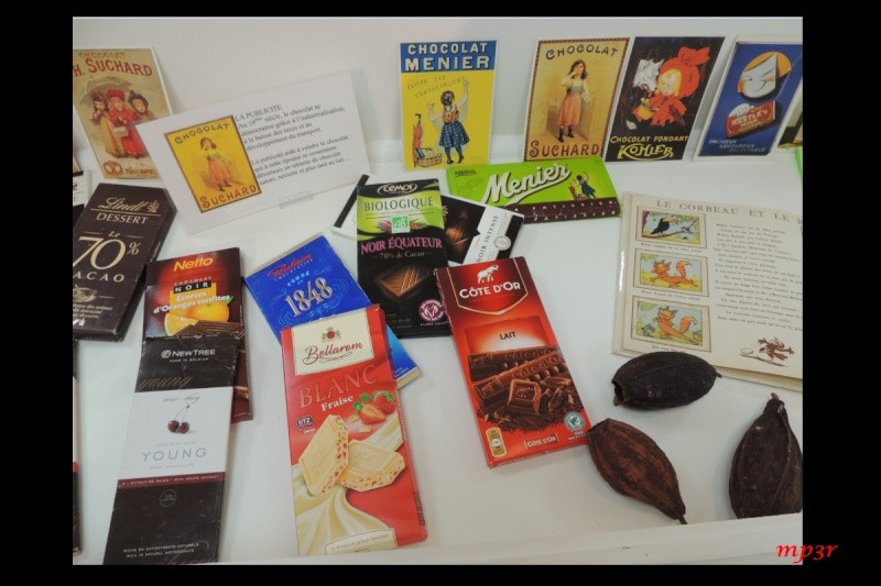 l'exposition sur le chocolat à l'Espace Hermine Sans_121
