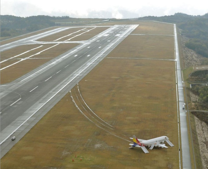 Un Airbus A320 de la compagnie sud-coréenne Asiana Airlines raté son atterrissage E10