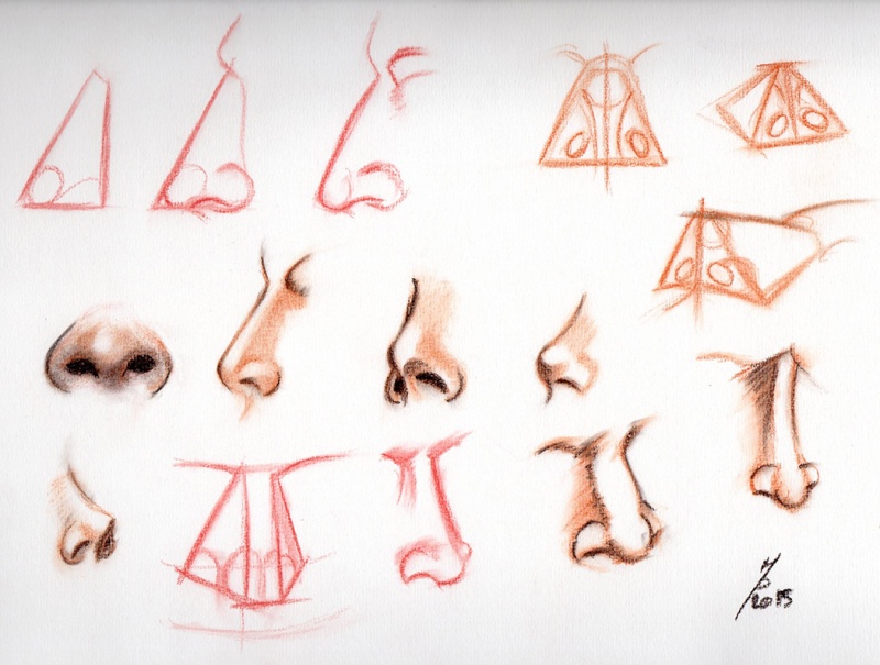 Petit guide pour dessiner un nez  Nose-010