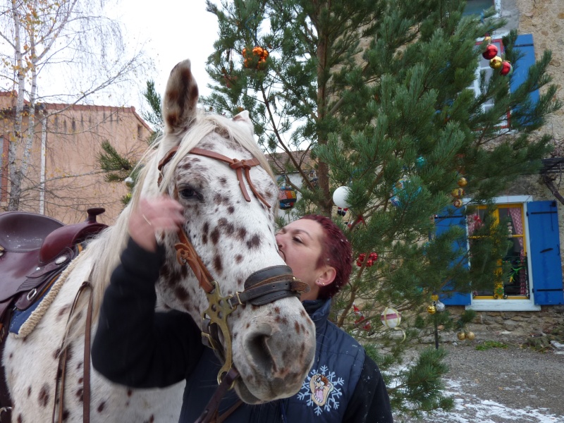 CONCOURS PHOTOS: Les chevaux et Noël...Venez voter... P1000010