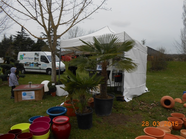 Foire aux plantes rares  - Page 3 2015-126