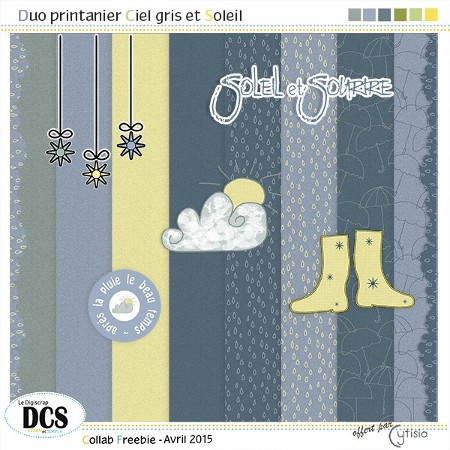 Duo printanier : Ciel gris et Soleil ---> sortie (le 20 avril) report au 21 à 14h Cytisi10