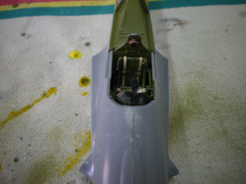 p-40 n warhawk P40_dy10