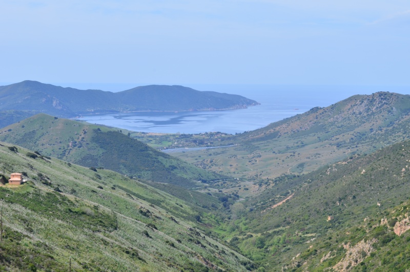 Périple en Corse... Dsc_0023