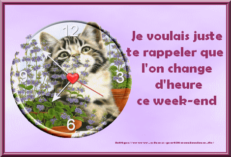 Cairns de Mars 2015 - Page 21 7edb0f10