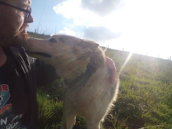 SULTAN, CLT x Husky (9 ans) (m) vivait dans un placar, ASSO12 ADOPTE - Page 3 19413_10