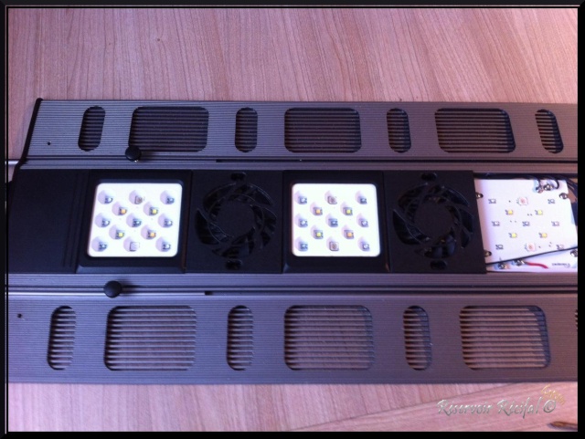 changement des pads leds Razor maxspect R420 1215