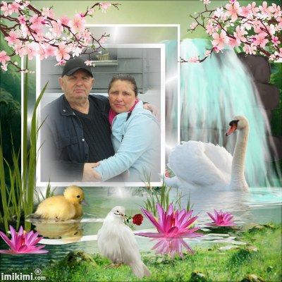 Montage de ma famille - Page 2 2zxda-82