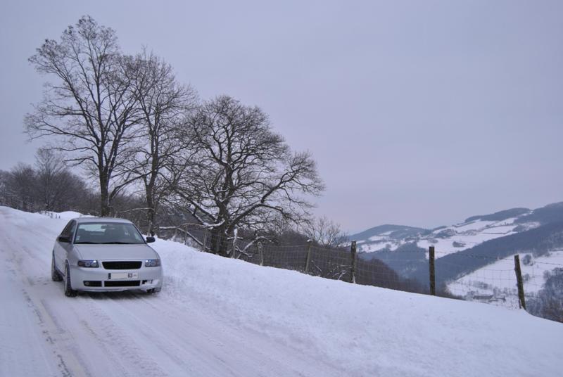 [Photo-Reportage] Audi A3 evolution S - Page 9 Dsc_0520