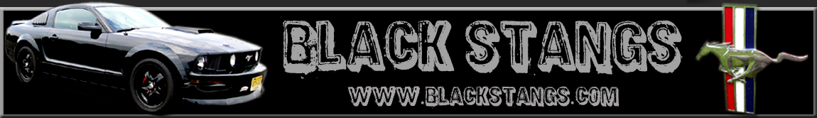 Black Stangs.com