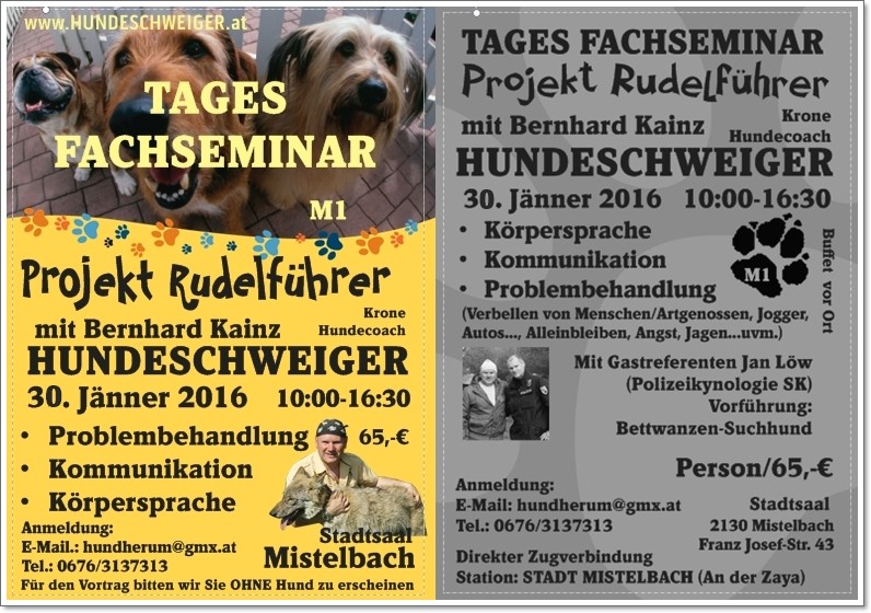 Projekt Rudelführer - Tages Fachseminar 30.01.2016 Fachse10